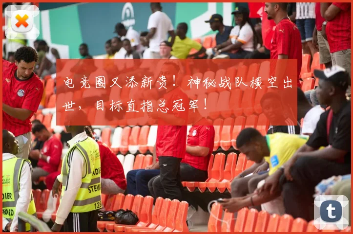 电竞圈又添新贵！神秘战队横空出世，目标直指总冠军！